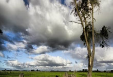 暖心!C罗与病重小球迷见面,助小球迷实现梦想.