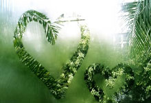 东升国际官网：[乒乓球]李武军：WTT出台新举措保障了运动员利益.