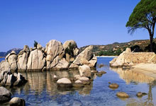 东升国际官网：[德甲]第6轮 波鸿1-3沃尔夫斯堡.